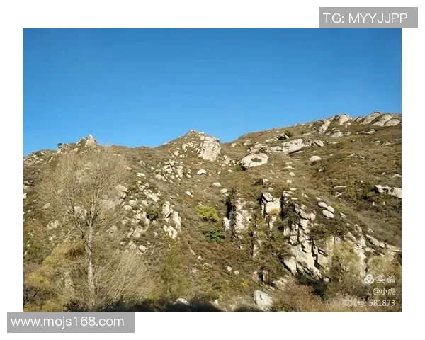 姚明宇许昌的传奇之旅探寻篮球巨星的故乡与成长故事