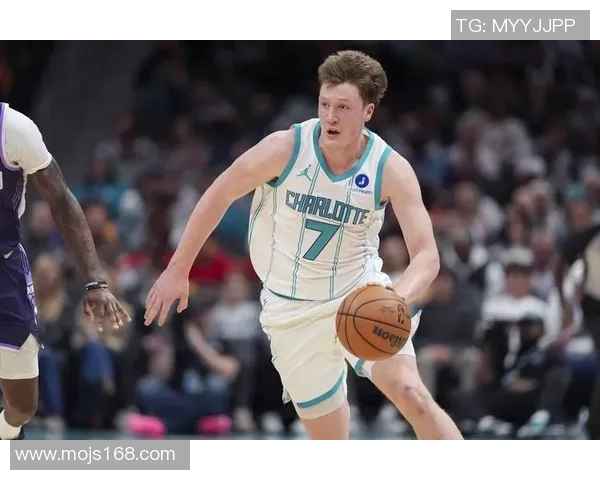 美式男明星与篮球明星的魅力交汇探讨与影响力分析