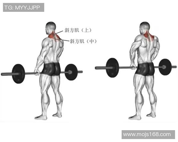 全面解析哑铃练背的所有动作及其正确姿势与技巧